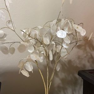 Artificial “Silver Dollar” plant
